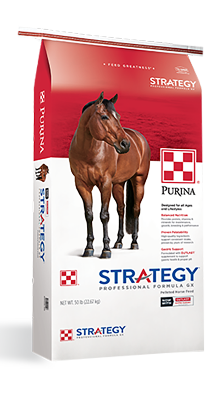 Strategy® Professional Formula GX